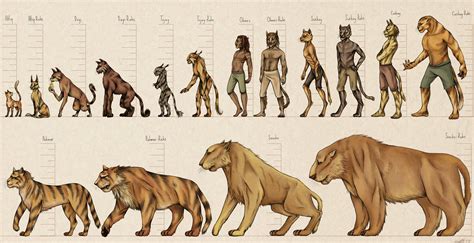 khajiit|khajiit birth chart.